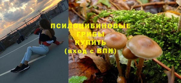 гидра Алексин