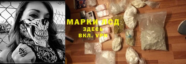 гидра Алексин