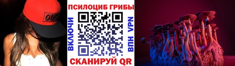 Галлюциногенные грибы Magic Shrooms  Андреаполь 
